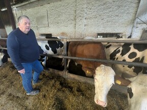 V rodinném kravíně, 2025 (R. Rys)