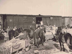 Stěhování volyňských Čechů z Ukrajiny 1947 (J. Kalík)