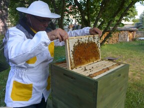 Včelaření – velký koníček Jiřího Hudečka (J. a V. Hudečkovi)
