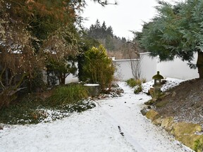 Japonská zahrada v zimě 2022 (V. Komárek ml.)