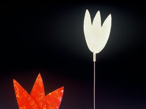 Tulipán a tulipaní, 1999 (L. Šikolová)