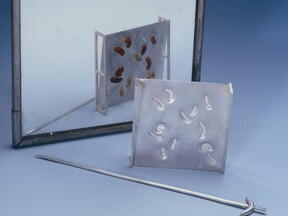 Reakce na výstavu Hmyz domácí, člověka milující, 1999 (L. Šikolová)