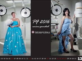 Charitativní kalendrář zdravotních sester KNL, 2014 (M. Fryaufová)
